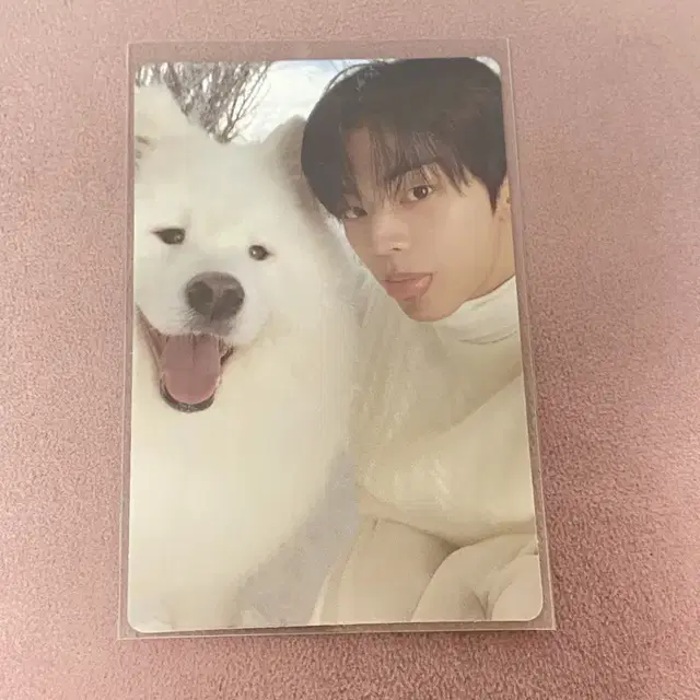 투어스 도훈 라스트벨 앨범 포카 양도