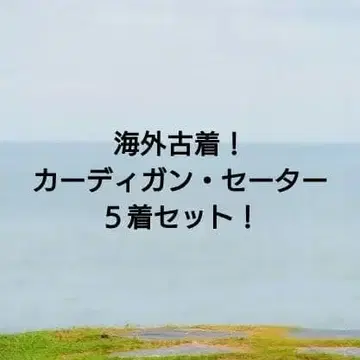 4가지 해외 구제 의류! 스웨터, 가디건 5벌 세트!