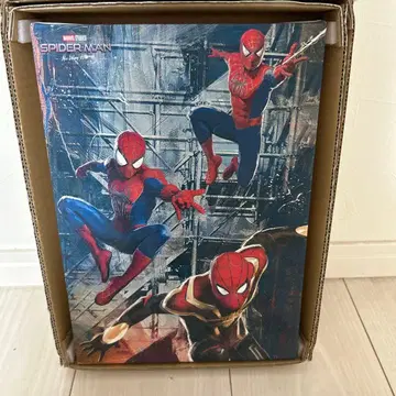 스파이더맨: 노 웨이 홈 캔버스 아트 패널