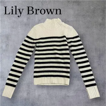 Lily Brown 릴리 브라운 리브 니트 스웨터 하이넥 보더