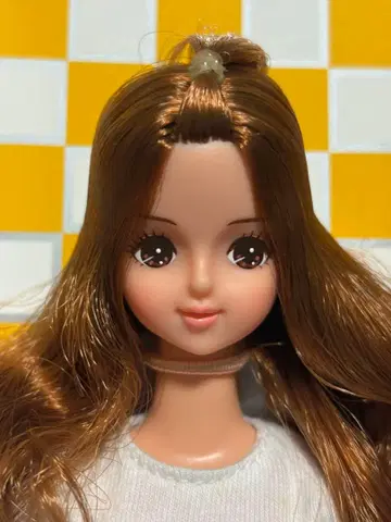 리카짱 캐슬 제니 프렌드 미라이