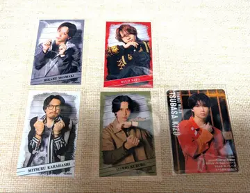 액터즈 리그 레인 복권 C상 하프 브로마이드 사토 류지 외 5종 세트