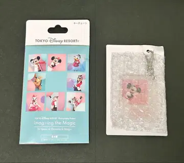 [ 디즈니 리조트 이매지닝 더 매직 아크릴 키체인 미니 ]