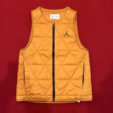 정가 14,850엔 M 사이즈 NIKE JORDAN 조던 골프 베스트