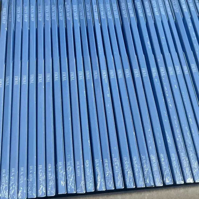 루시 미개봉 앨범 프롬