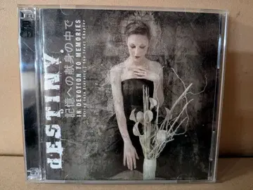 DESTINY 2장 세트 메탈코어 뉴스쿨