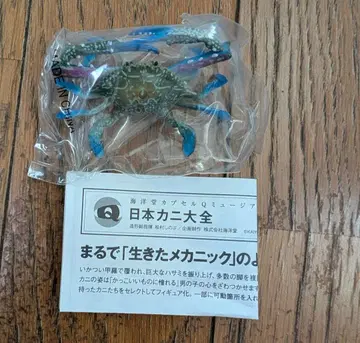 일본 게 대전 태원가재미