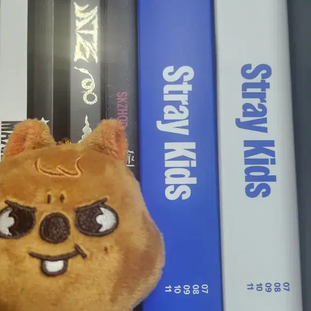 스트레이키즈/스키즈 개봉 앨범