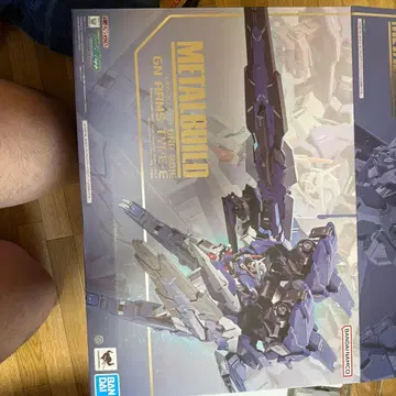 메탈빌드 METALBUILD GN 암즈 타입 E