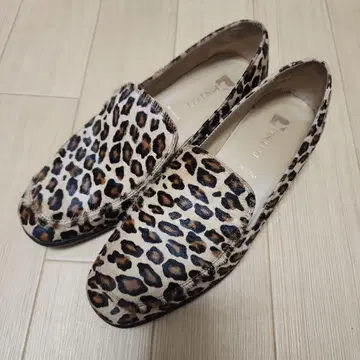 iena la boucle PASCUCCI 파스크치 레오파드 로퍼