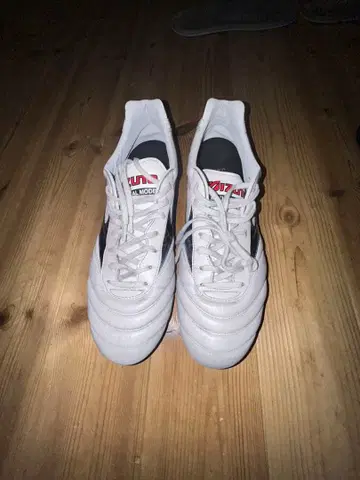 모렐리아 2JAPAN 26.5