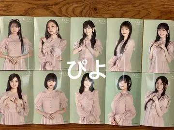 세븐일레븐 한정판 노기자카46 멤버별 브로마이드 10종