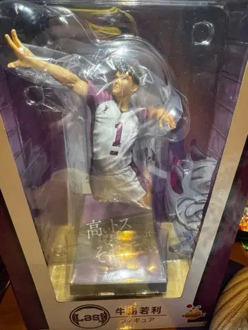 하이큐 Happy 제일복권 우시지마 와카토시 피규어 라스트 원 세트