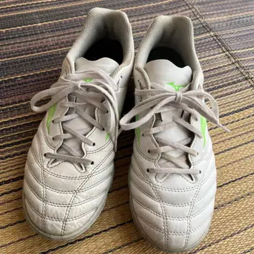 트레이닝화 축구화 화이트/그린