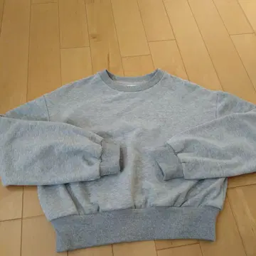 챔피온 트레이닝복 여성용 짧은 기장