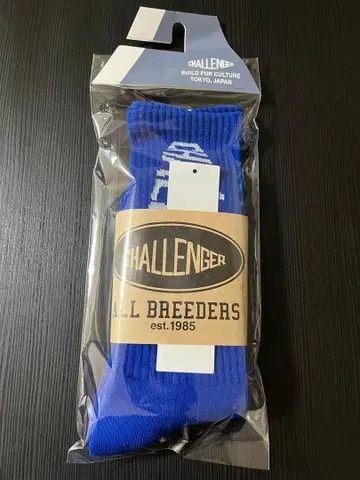 challenger logo socks