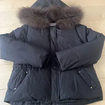 프로포션 숏 다운