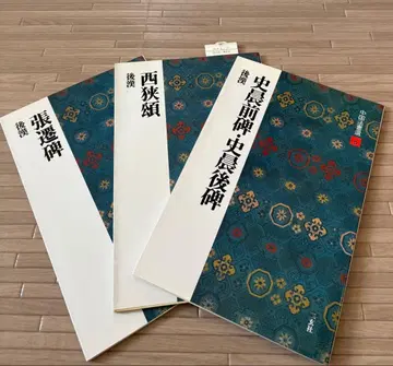 중국 법서선 6 사신전비 사신후비 7 서협송 9 장천비 3책 세트