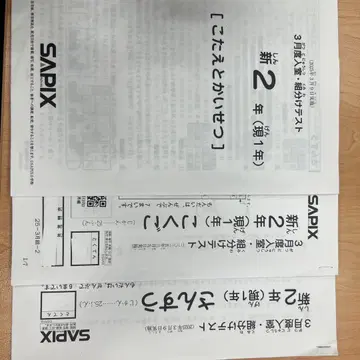 사피 신 2학년 (현 1학년) 2025년 3월 입실 조별 나누기 테스트