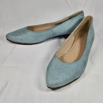 REGAL 천연 가죽 로우힐 펌프스 포인트 토 24cm