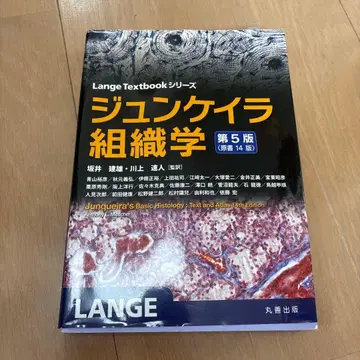 준케이라 조직학