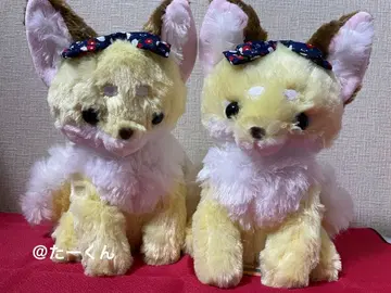 춍콘토 구미 님 하나오마치 호박 사탕 춍콘토 여우 봉제 인형 2개