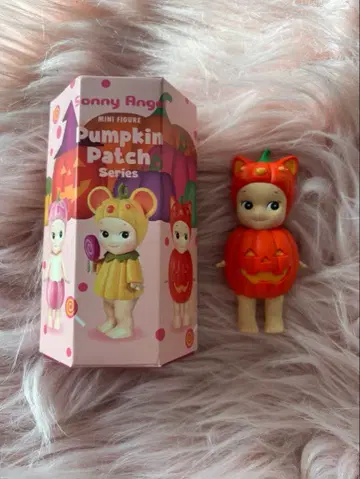 소니 엔젤 펌킨 패치 롭이어 캣