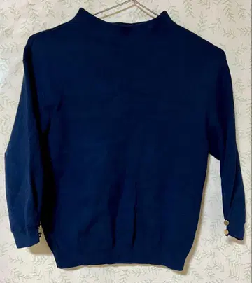 아푸와이저 리셰 니트 네이비