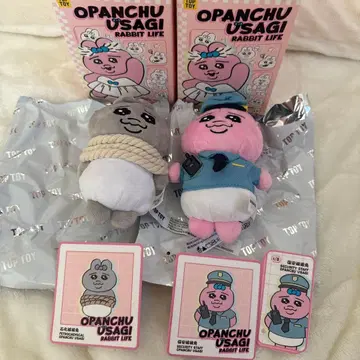 빤쮸토끼 toptoy 화석 그레이 보안 스태프