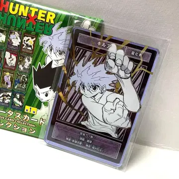 헌터헌터 키루아 스탯 카드 HUNTER x HUNTER