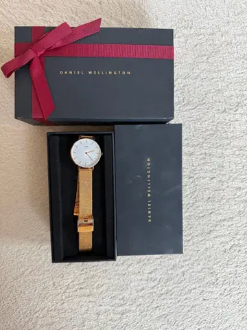 Daniel Wellington 골드 메쉬 시계