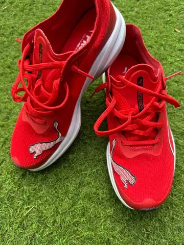 푸마 러닝화 리딤 프로 레이서 25 사용 1회