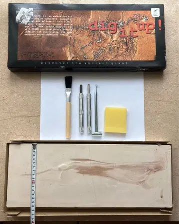 화석 발굴 세트