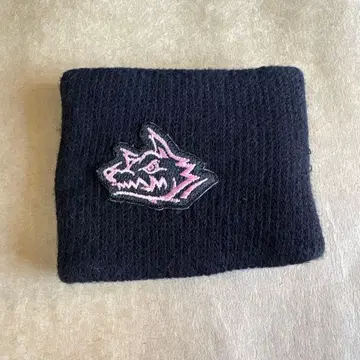 MAN WITH A MISSION 리스트 밴드