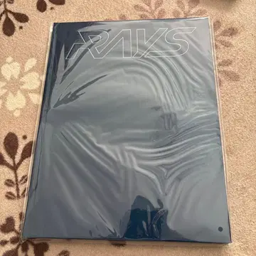 SnowMan RAYS 팜플렛