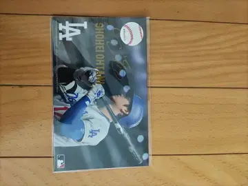 오타니 쇼헤이 사인 포함 카드 세트 8장