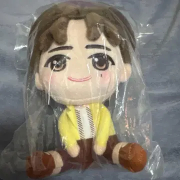 Seventeen PetiTEEN 도겸 DK 봉제 인형 새상품