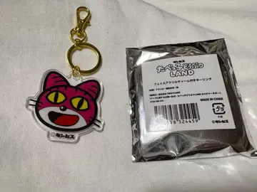 페이스 아크릴 참 포함 키링 고양이