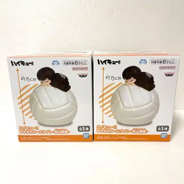 하이큐!! 스야스야 룸 라이트 -카게야마 토비오- 2세트