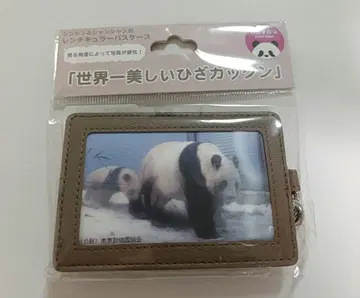 신신 샹샹 패스 케이스 세계에서 가장 아름다운 무릎 튕기기 팬더 자신