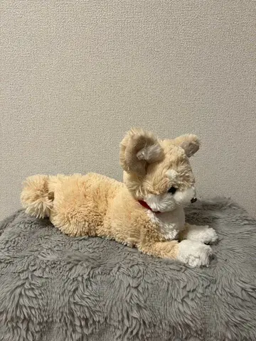 치와와 봉제 인형