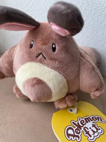 오타치 포켓몬 fit