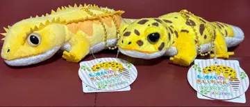 레오파의 키이짱 룬룬 기분 LMC 사이즈 봉제 인형 마스코트 2점 세트