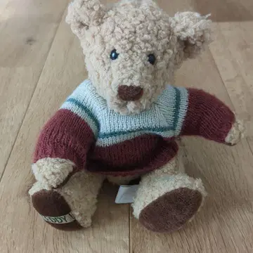 스웨터를 입은 곰 봉제 인형