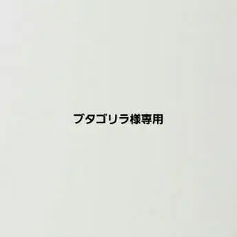 Champion Reverse Weave 해외 모델 리버스 위브