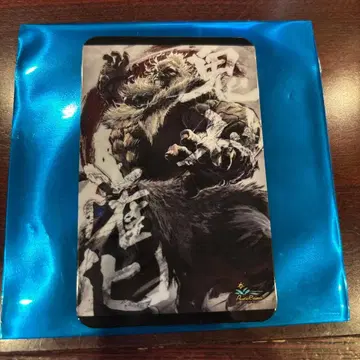 스트리트 파이터 6 스트6 가라오케 파세라 카드 고우키