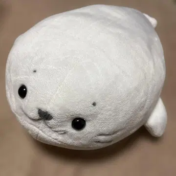 시로탄 봉제 인형 20주년