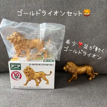 아니아 골드 라이온 2체 세트