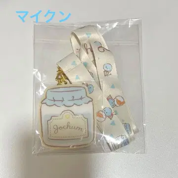 JOCHUM 마이크 넥스트랩