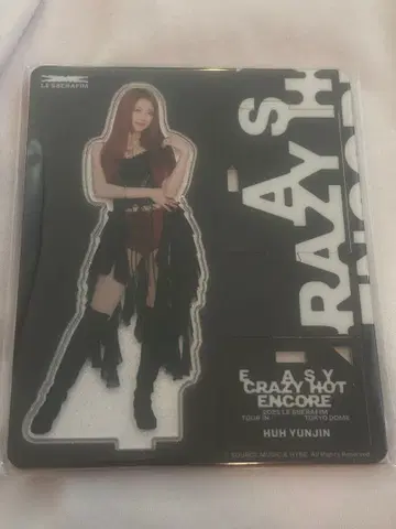 YUNJIN 유진 아크릴 스탠드 도쿄돔